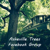 Asheville Trees Facebook Page