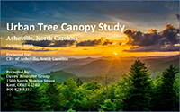 Urban Tree Canopy Study