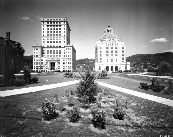 E.M. Ball photo of Courthouse, City Hall, Magnolia Tree, ca. 1929