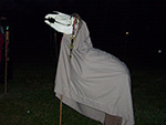 Mast Beast Ol' Charmer rearing up at 2010 Samhain Halloween Witch Ritual in Asheville, NC