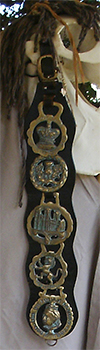 The Mast Beast's right martingale with row of horse brasses