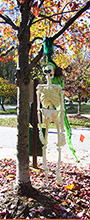 Skeleton hanging from autumn tree at Asheville's Free Public Witch Ritual