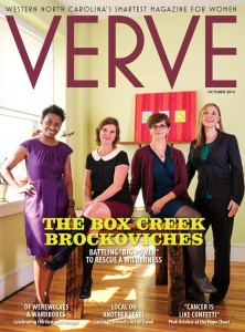 Verve cover